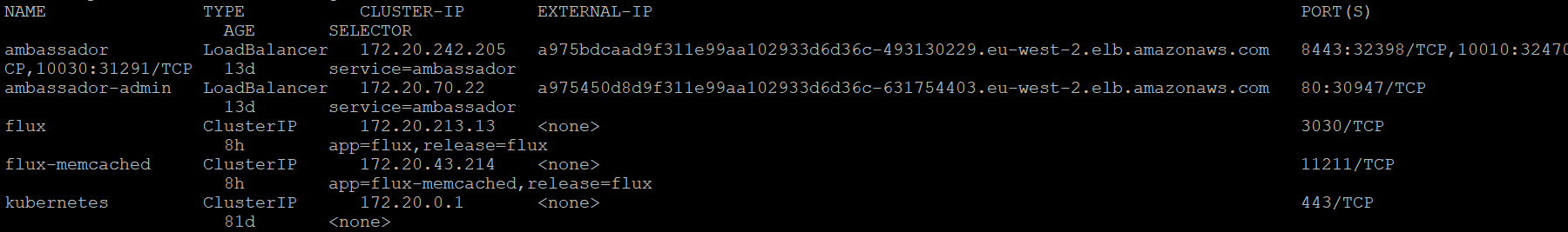 Ambassador Service Output